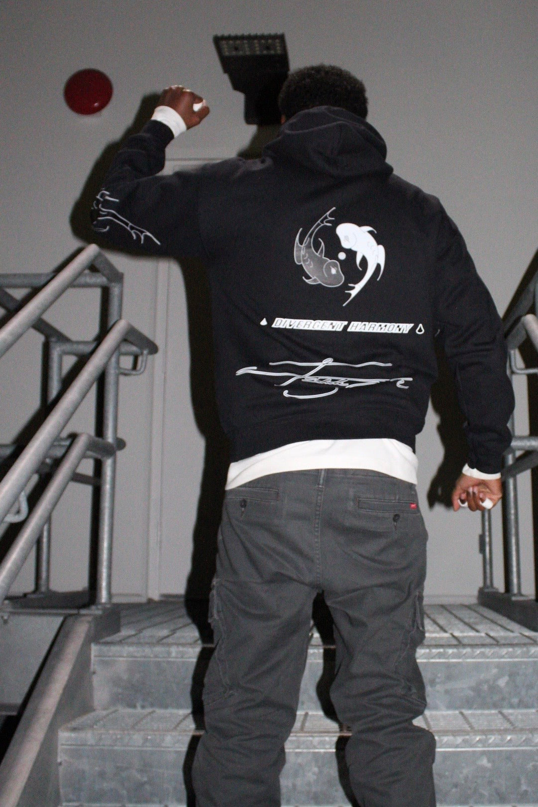 "Divergent Harmony" - Hoodie